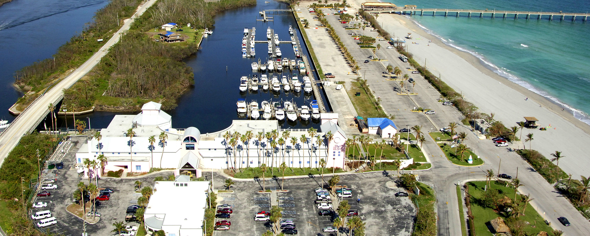 Dania Beach Marina Flushing Analysis