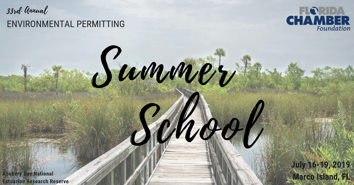 Danielle H. Irwin – 2019 Environmental Permitting Summer School Speaker